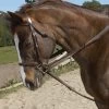 Ovation Stretch Cord Draw Reins