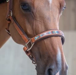 PÉNÉLOPE Pénélope Pearl Leather Halter -Western Tack Outlet Store pearl halter cognac noseband1 510 311 302 penelope 65794.1688687941