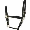 Perri's 3/4-Inch Leather Turnout Halter