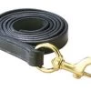 Perri's Leather Lead With Brass Snap