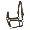 Perri's Premium Nylon Safety Halter