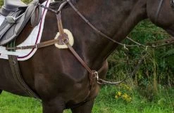 Henri De Rivel Pro 5-Point Elastic Breastplate -Western Tack Outlet Store pro 5 point elastic breastplate australian nut horse 5098 08 hdr 83155.1672253974