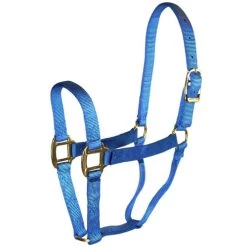 Hamilton Quality 1" Nylon Halter -Western Tack Outlet Store quality 1in nylon halter berry blue 1Q BY hamilton 67147.1685665703