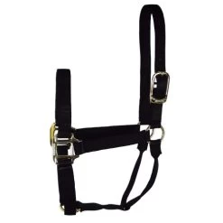 Hamilton Quality 1" Nylon Halter -Western Tack Outlet Store quality 1in nylon halter black 1Q hamilton 13858.1685665721