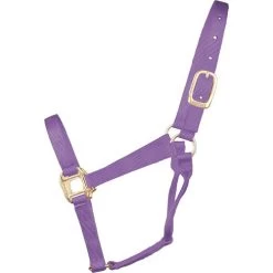 Hamilton Quality 1" Nylon Halter -Western Tack Outlet Store quality 1in nylon halter lavender 1Q AVLV hamilton 15621.1685665710