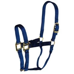 Hamilton Quality 1" Nylon Halter -Western Tack Outlet Store quality 1in nylon halter navy 1Q NV hamilton 21719.1685666724