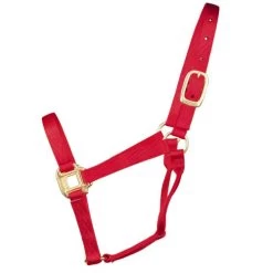 Hamilton Quality 1" Nylon Halter -Western Tack Outlet Store quality 1in nylon halter red 1Q hamilton 12014.1685665705