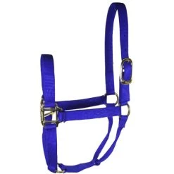 Hamilton Quality 1" Nylon Halter -Western Tack Outlet Store quality 1in nylon halter royal 1Q hamilton 95898.1685665741
