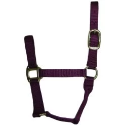 Hamilton Quality 1" Nylon Halter -Western Tack Outlet Store quality 1in nylon halter wine 1QWN hamilton 54194.1685665738