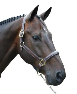 Red Barn Kate Fancy Stitch Halter -Western Tack Outlet Store red barn kate halter brown brass W kl select 63727.1682796912