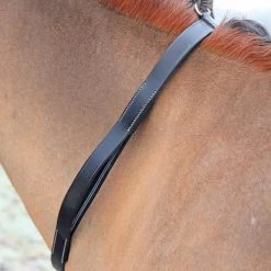Shires Tapestry Neck Grab Strap -Western Tack Outlet Store tapestry neck grab strap black 4233 shires 31151.1637184461