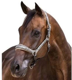 Halter Ego Venetian Floral Halter -Western Tack Outlet Store venetian floral halter slvr crm halter ego 46536.1682705257